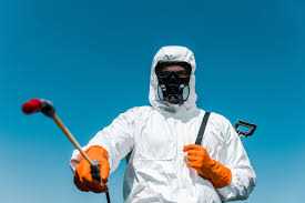 Best Bee and Wasp Removal  in Bakersfield Country Clu, CA